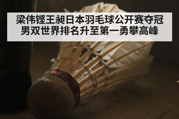 梁伟铿王昶日本羽毛球公开赛夺冠男双世界排名升至第一勇攀高峰